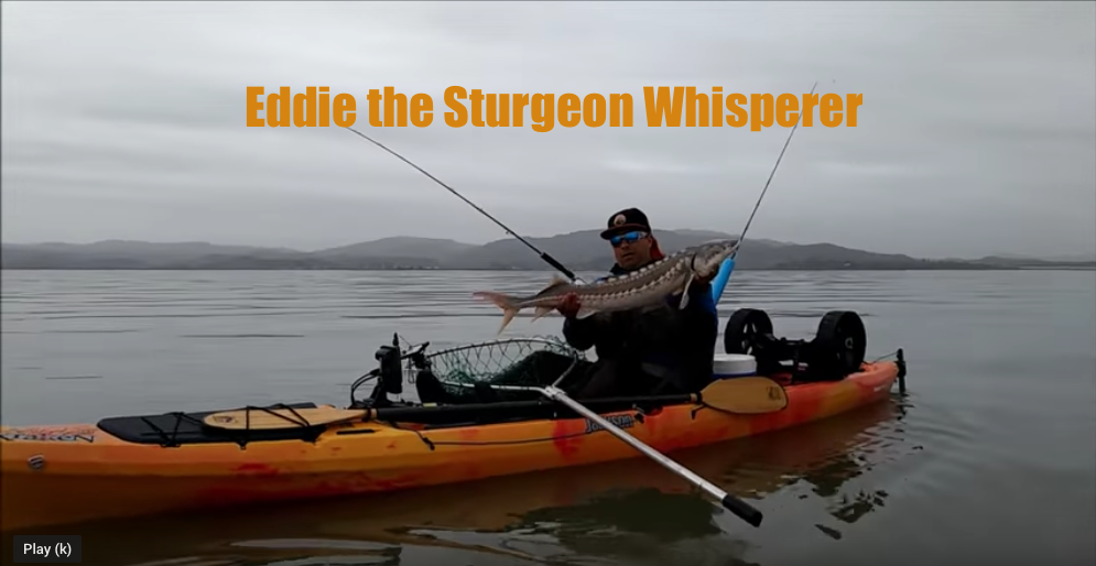 Eddie the Sturgeon Whisperer