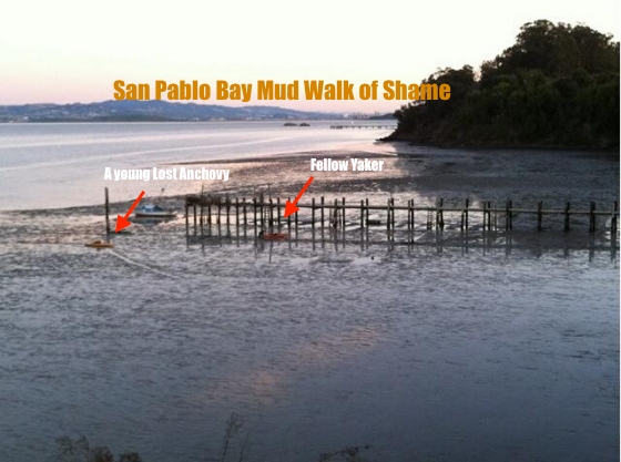 San Pablo Bay Mud Walk
