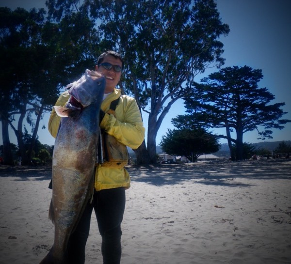 White Sea Bass Fishing Tutorial The Lost Anchovy