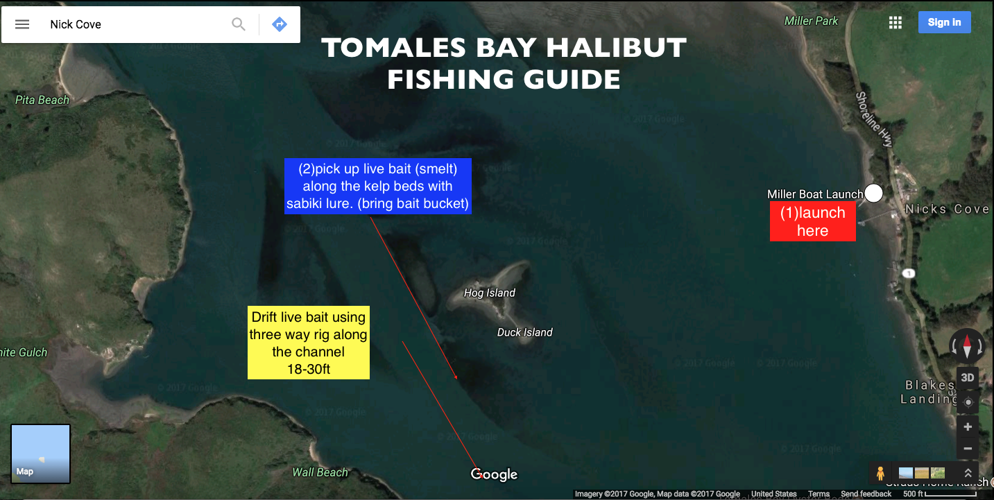 Tomales Bay Halibut Fishing Guide - The Lost Anchovy