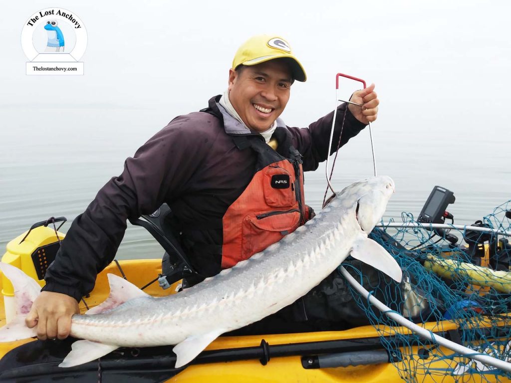 Kayak Fishing in Monterey Bay: A Complete Guide [2024] - Kayak Connection