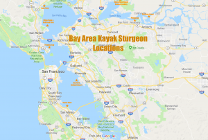 Bay Area Kayak Sturgeon Map