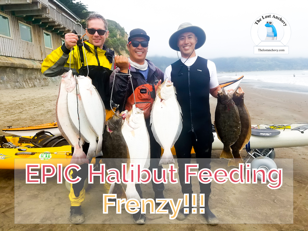 EPIC BOLINAS HALIBUT FISHING - The Lost Anchovy