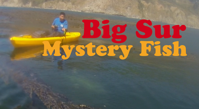 Big Sur Kayak Fishing