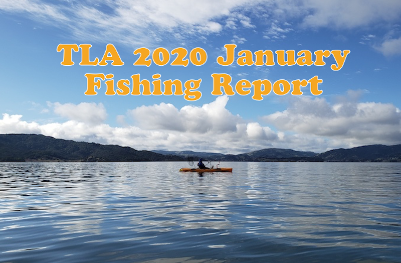 TLA 2020 January fishing report