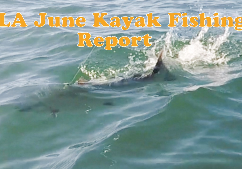 TLA_June_Kayak_Fishing_Report