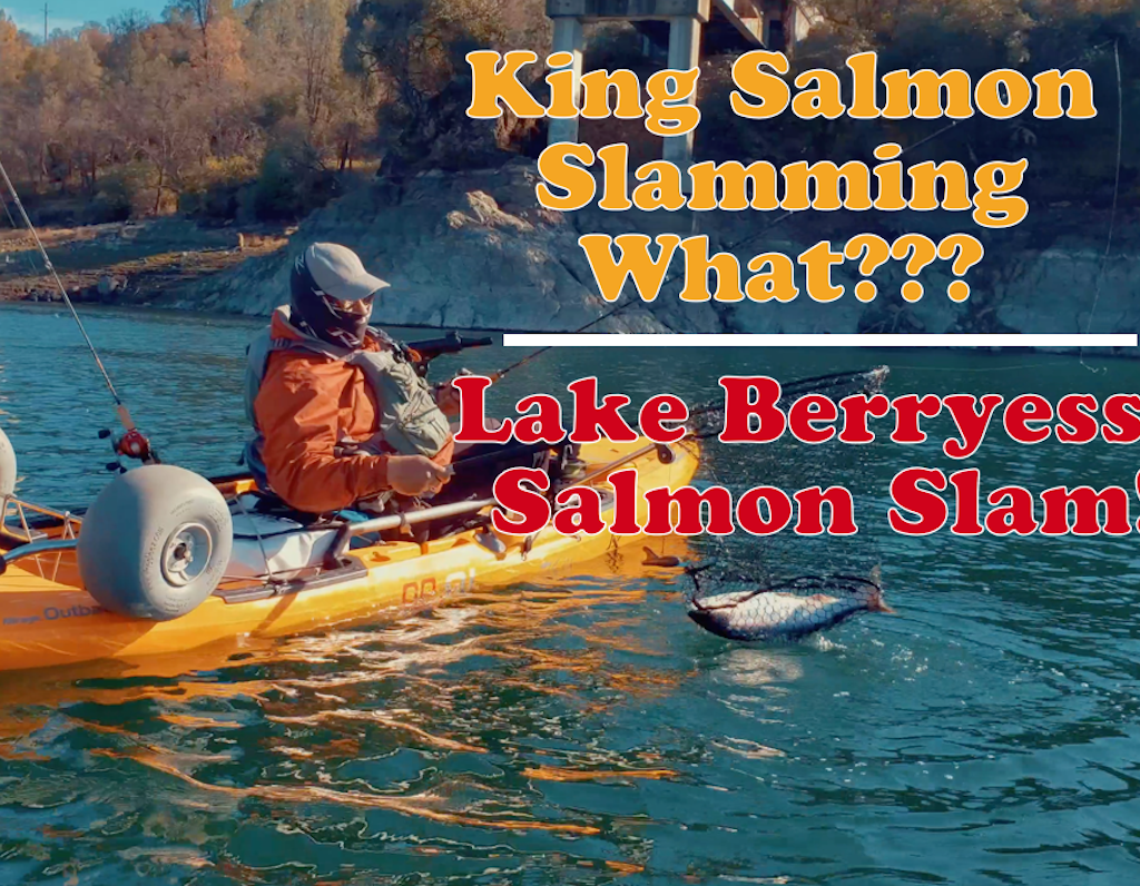 Berryessa King Salmon Fishing