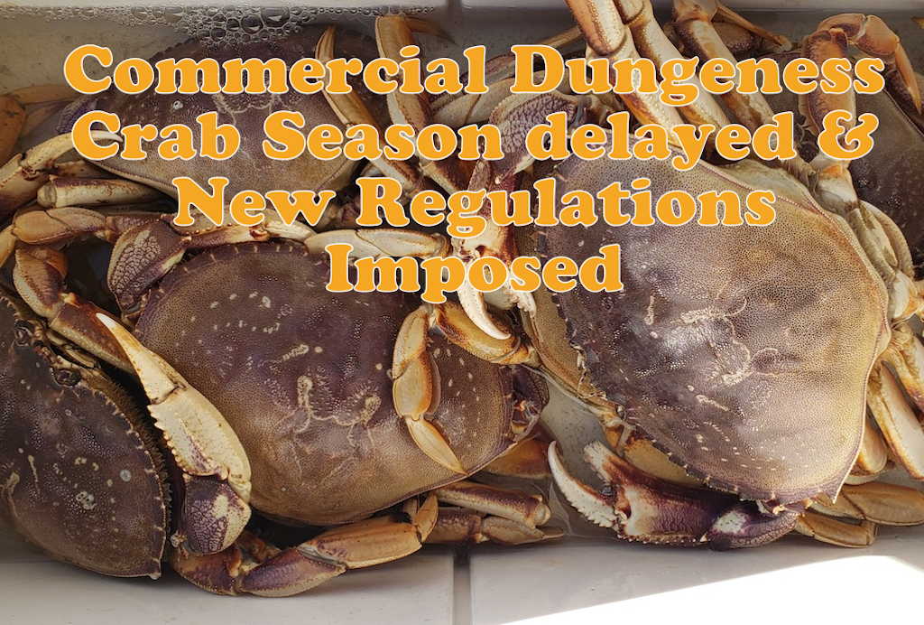 Crab Regulations Update