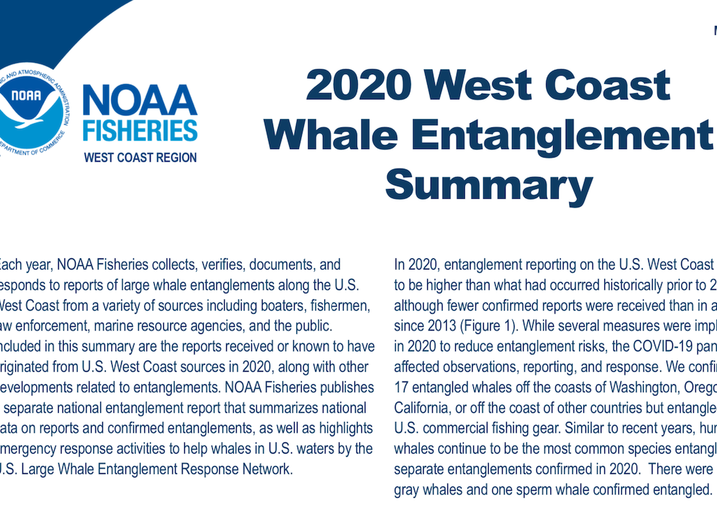 2020 West Coast Whale Entanglement Summary