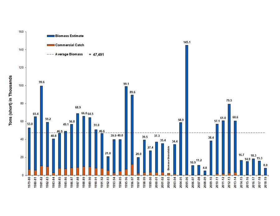 Pacific Herring Bio Mass Data