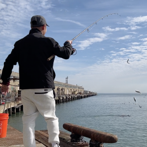 2022 Herring Spawn Report - The Lost Anchovy