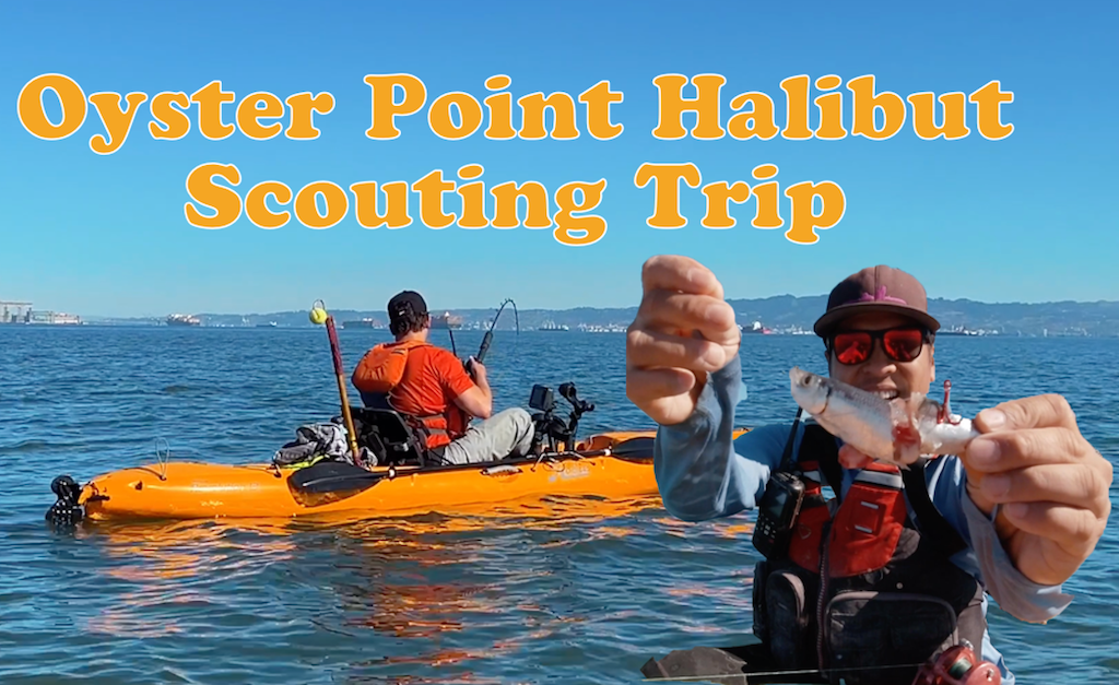 Oyster Point Halibut Fishing