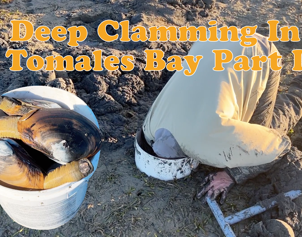 Tomales Bay Kayak Crabbing - The Lost Anchovy