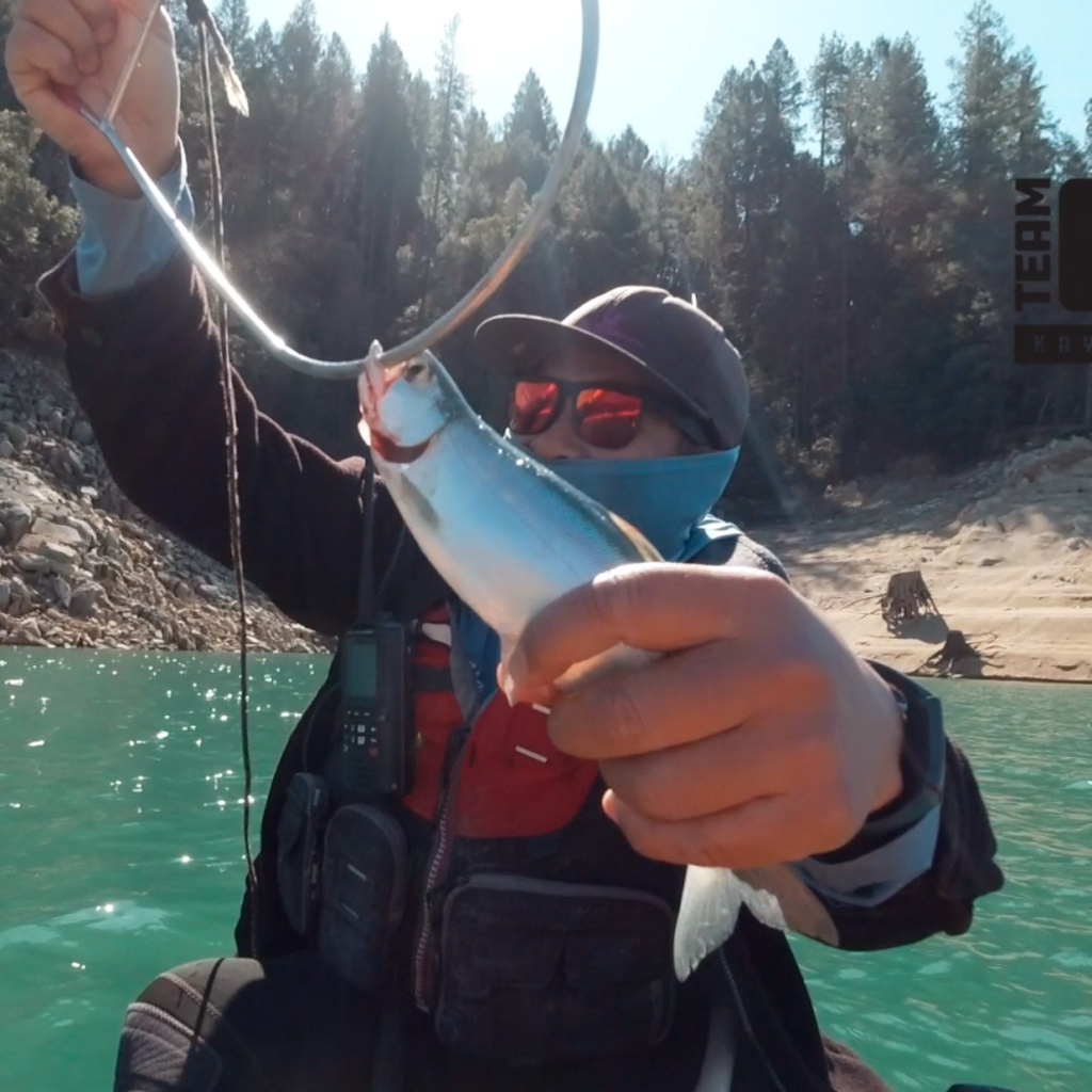 Bullards Bar Kayak Kokanee Fishing - The Lost Anchovy