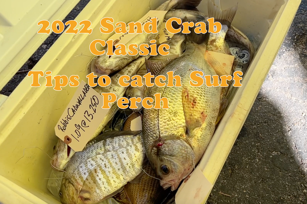 2022 Sand Crab Classic and Tips to catch surf perch - The Lost Anchovy
