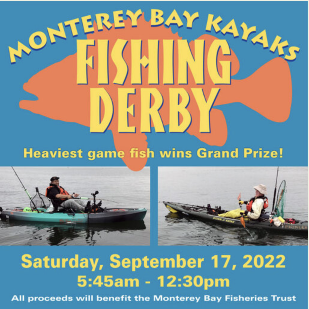 Summer 2022 outdoor events The Lost Anchovy