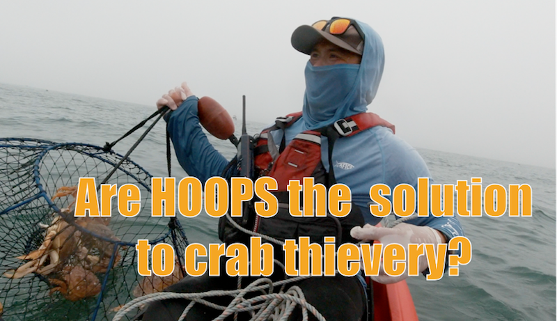 Are Hoops the solution to Crab Thievery - The Lost Anchovy